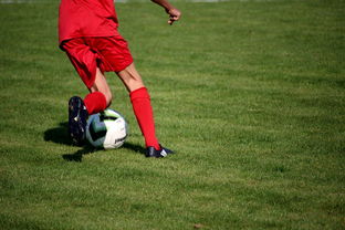 爱游戏app-CBA球队加强后勤保障体系优化训练和比赛准备，cba后备联赛