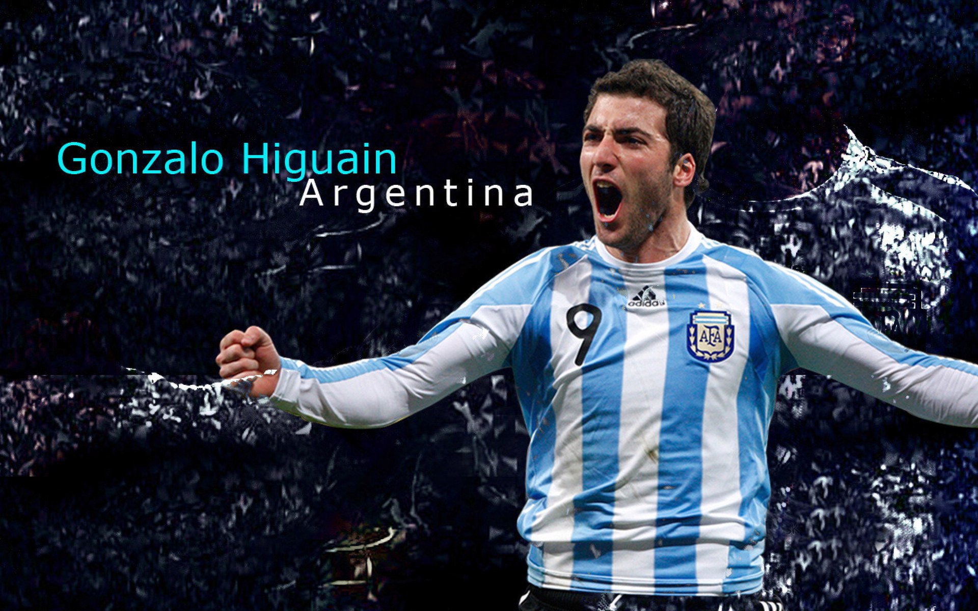 爱游戏综合娱乐-“美洲狮队奋勇拼搏，征战橄榄球冠军锦标赛”