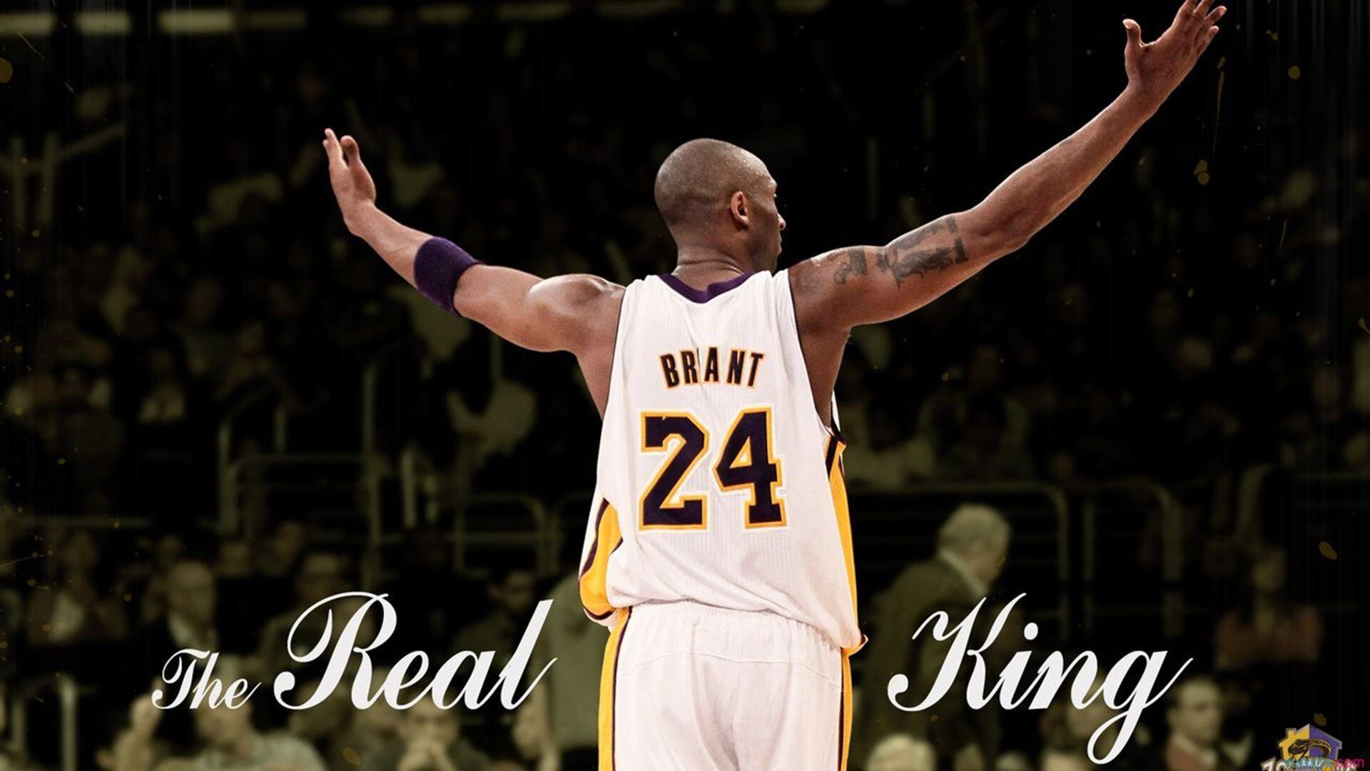 爱游戏体育APP下载-“彼得森的非凡表现助南非羚羊队破纪录创佳绩”